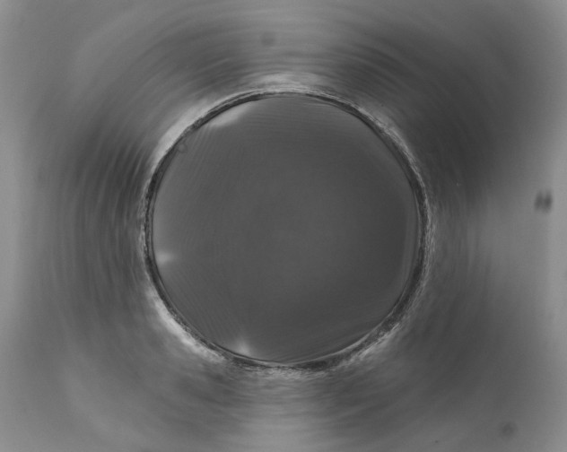 X0000112160941200908281400