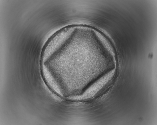 X0000112160943200908281400