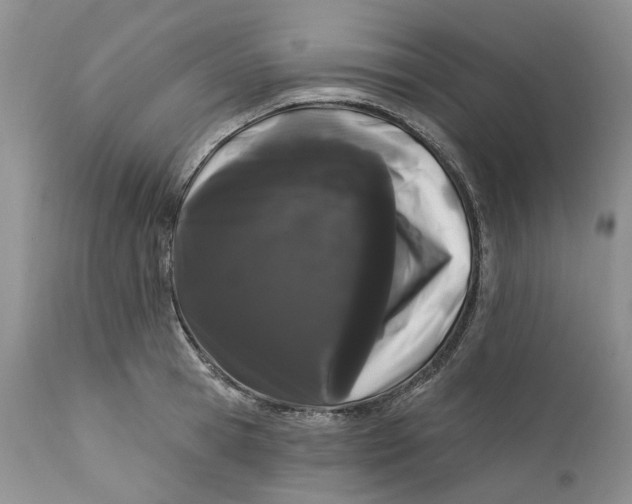 X0000112160945200908281400