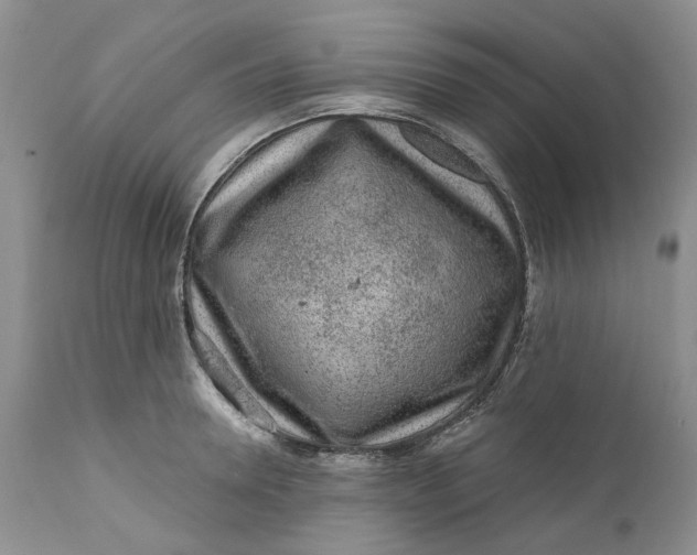 X0000112160946200908281400