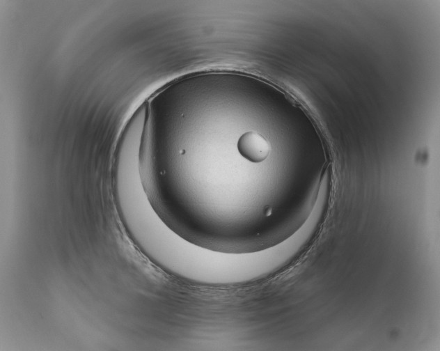 X0000112160948200908281400