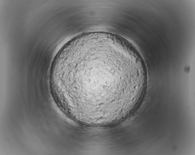 X0000112160949200908281400