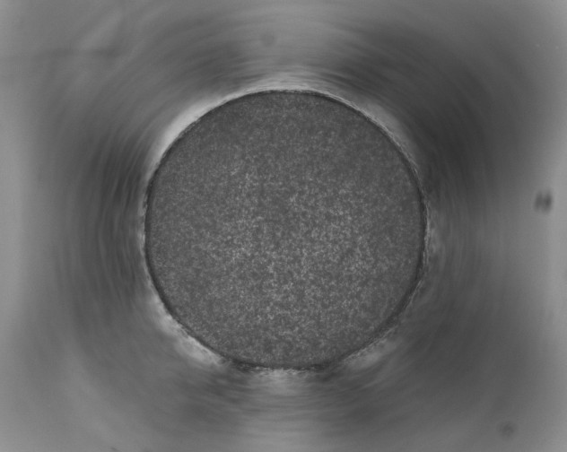 X0000112160950200908281400