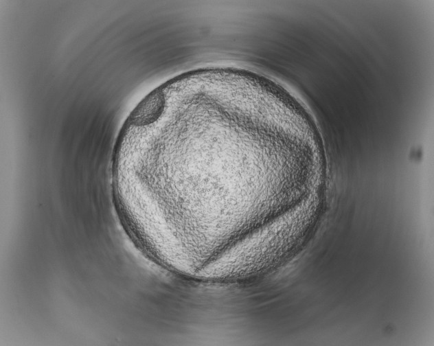 X0000112160951200908281400