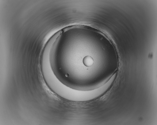 X0000112160952200908281400