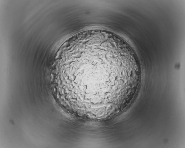 X0000112160953200908281400