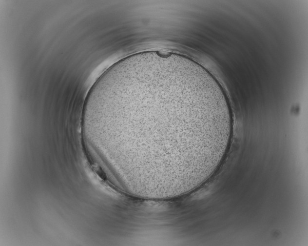 X0000112160954200908281400