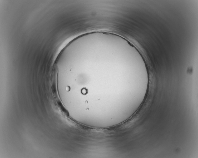 X0000112160956200908281400