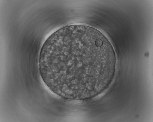 X0000112160957200908281400