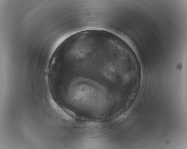 X0000112160958200908281400