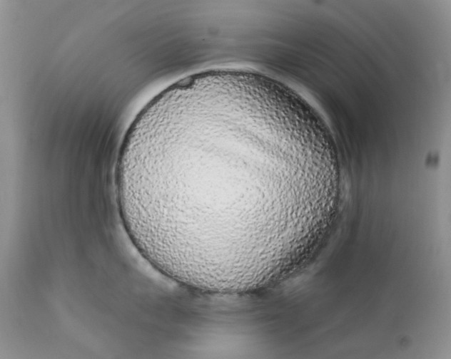 X0000112160959200908281400