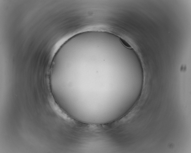 X0000112160960200908281400