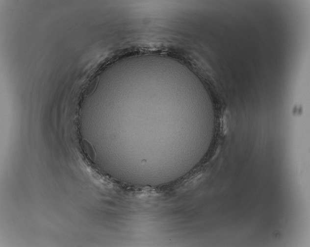 X0000112160961200908281400