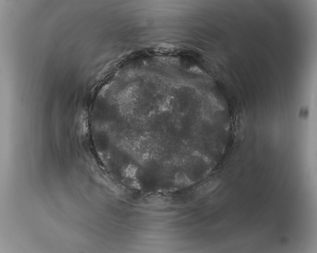 X0000112160962200908281400