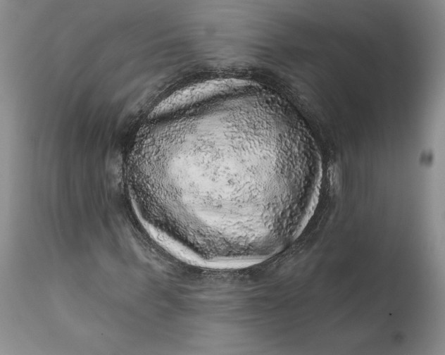 X0000112160963200908281400