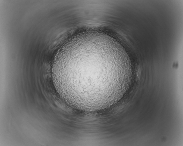 X0000112160964200908281400