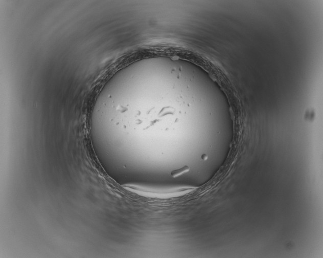 X0000112160965200908281400