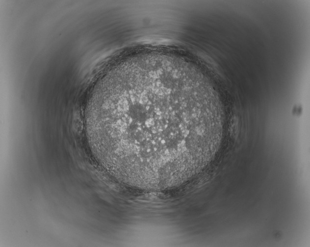 X0000112160966200908281400