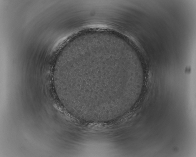 X0000112160967200908281400