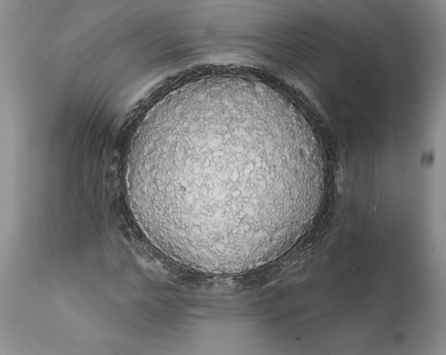 X0000112160968200908281400