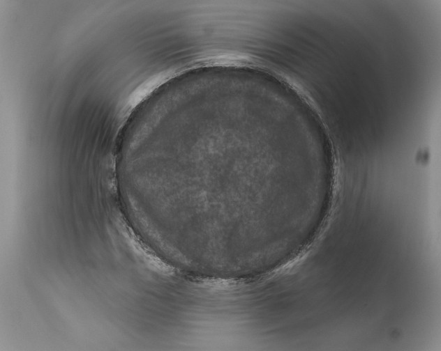 X0000112160970200908281400