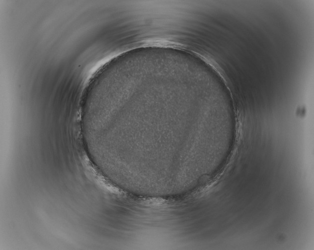 X0000112160971200908281400