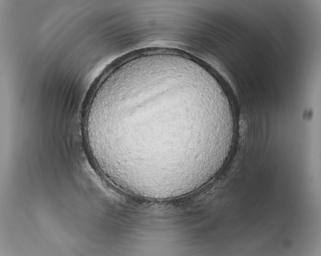 X0000112160972200908281400