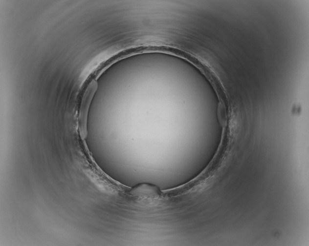 X0000112160973200908281400