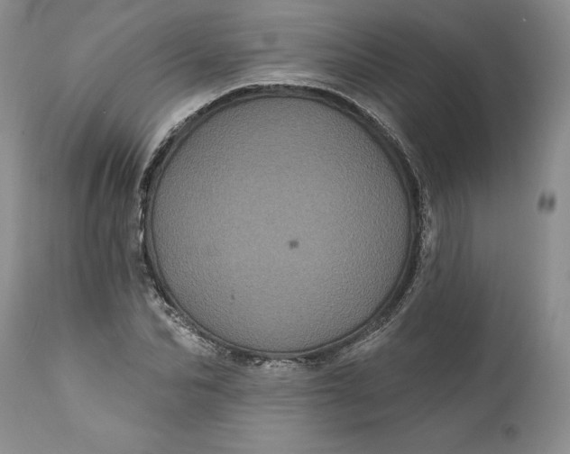 X0000112160974200908281400