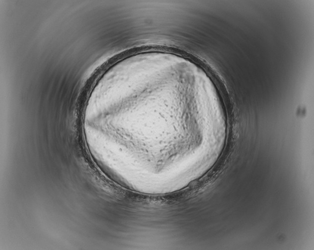 X0000112160975200908281400