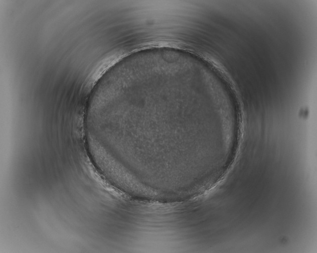 X0000112160977200908281400