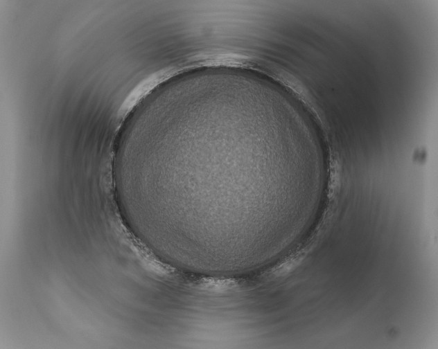 X0000112160978200908281359