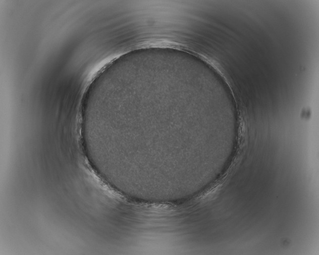 X0000112160979200908281359