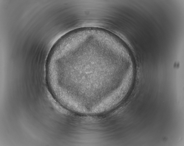 X0000112160980200908281359