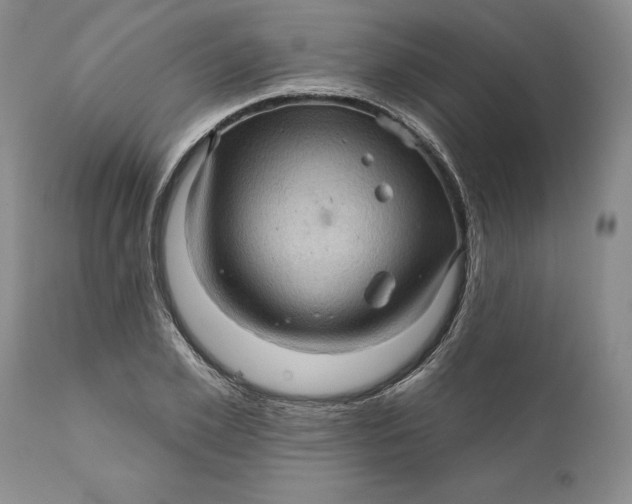 X0000112160981200908281359