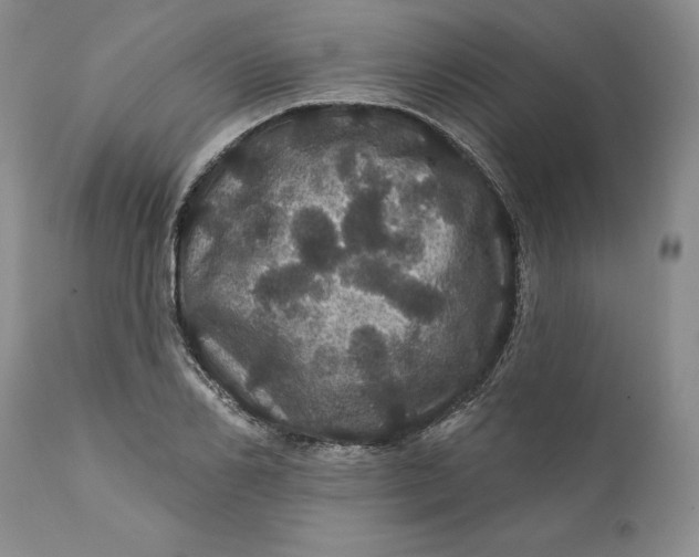 X0000112160982200908281359