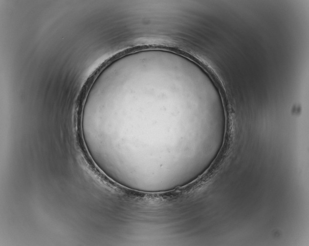 X0000112160983200908281359