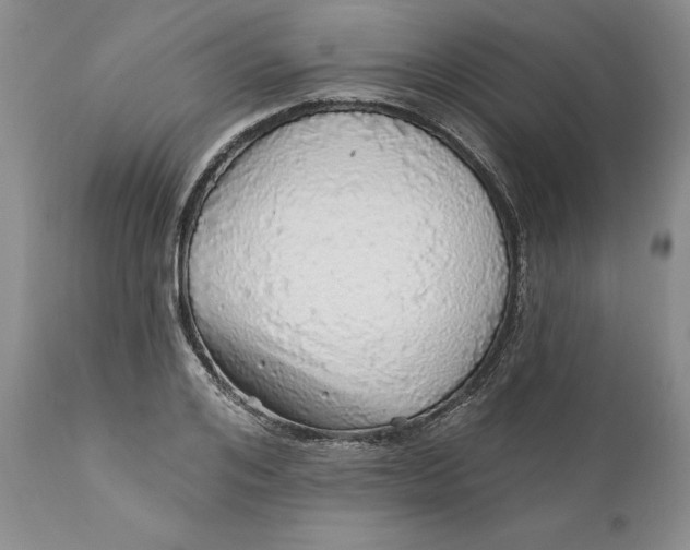 X0000112160984200908281359