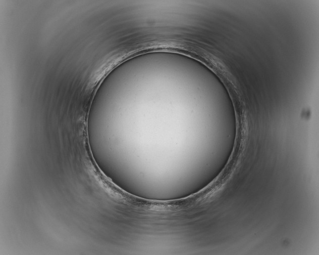 X0000112160985200908281359