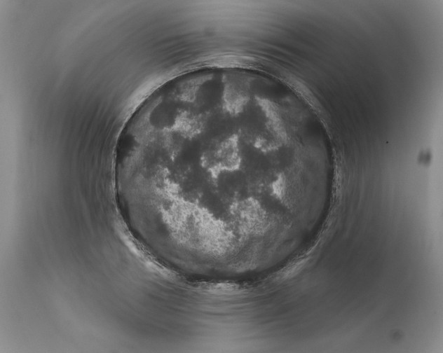 X0000112160986200908281359