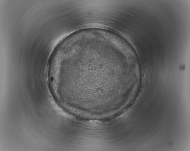 X0000112160987200908281359