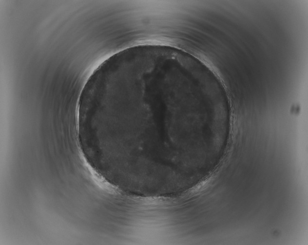 X0000112160988200908281359