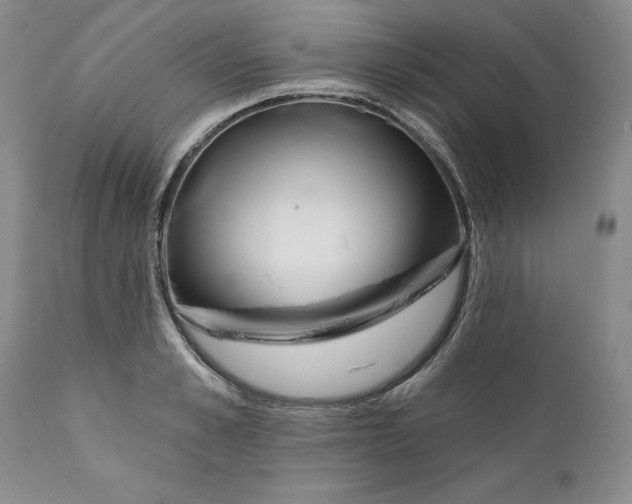 X0000112160989200908281359