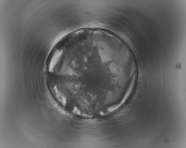 X0000112160990200908281359