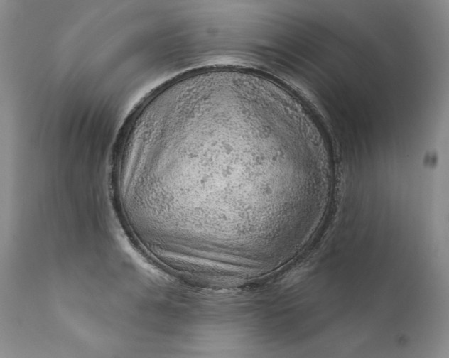 X0000112160991200908281359