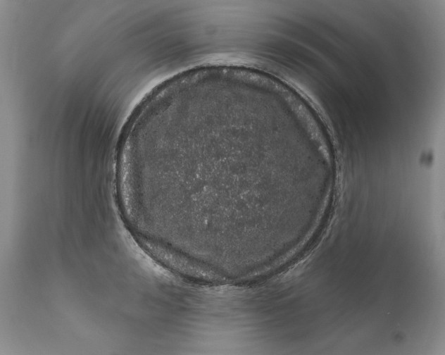 X0000112160992200908281359