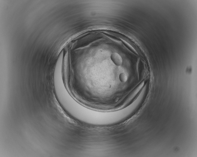 X0000112160993200908281359