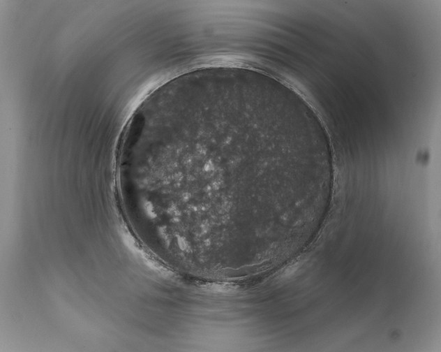 X0000112160994200908281359