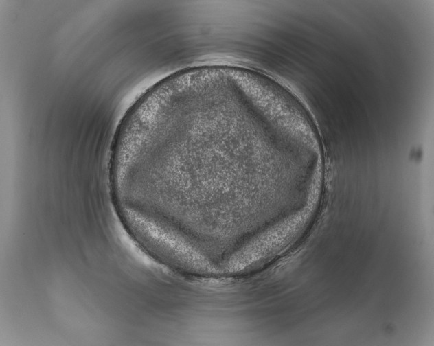 X0000112160995200908281359