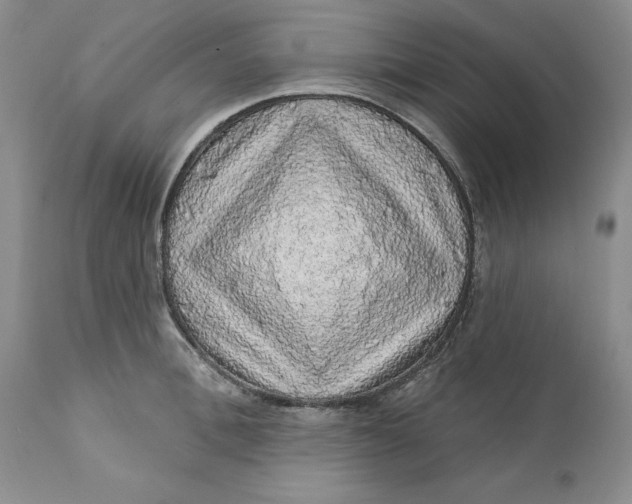 X0000112160996200908281359